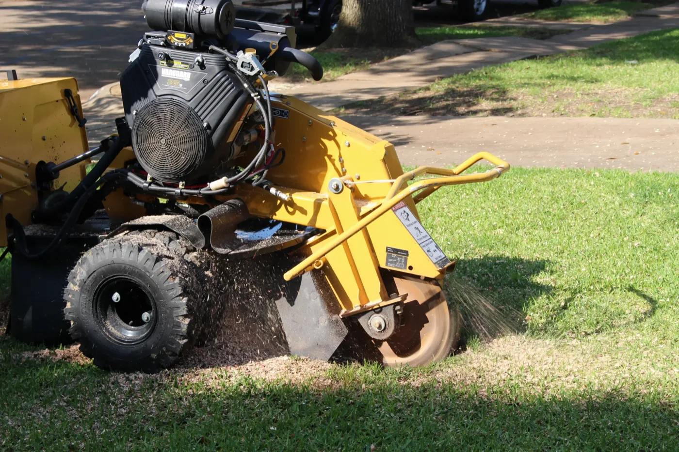 Ground-out stump with chips ready for backfill on a Rexburg area property